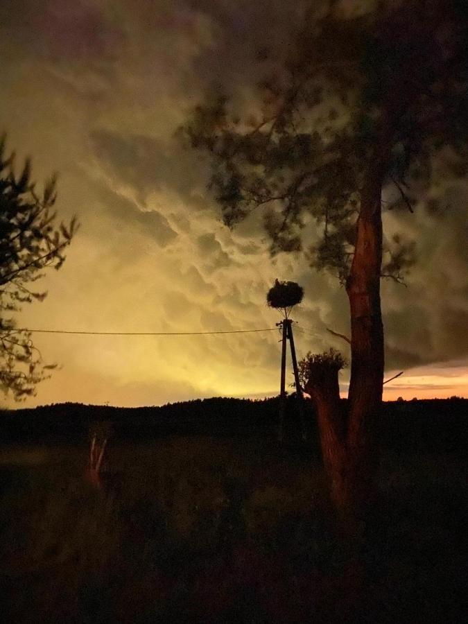 Pod Bocianim Gniazdem Villa Stary Folwark Bagian luar foto